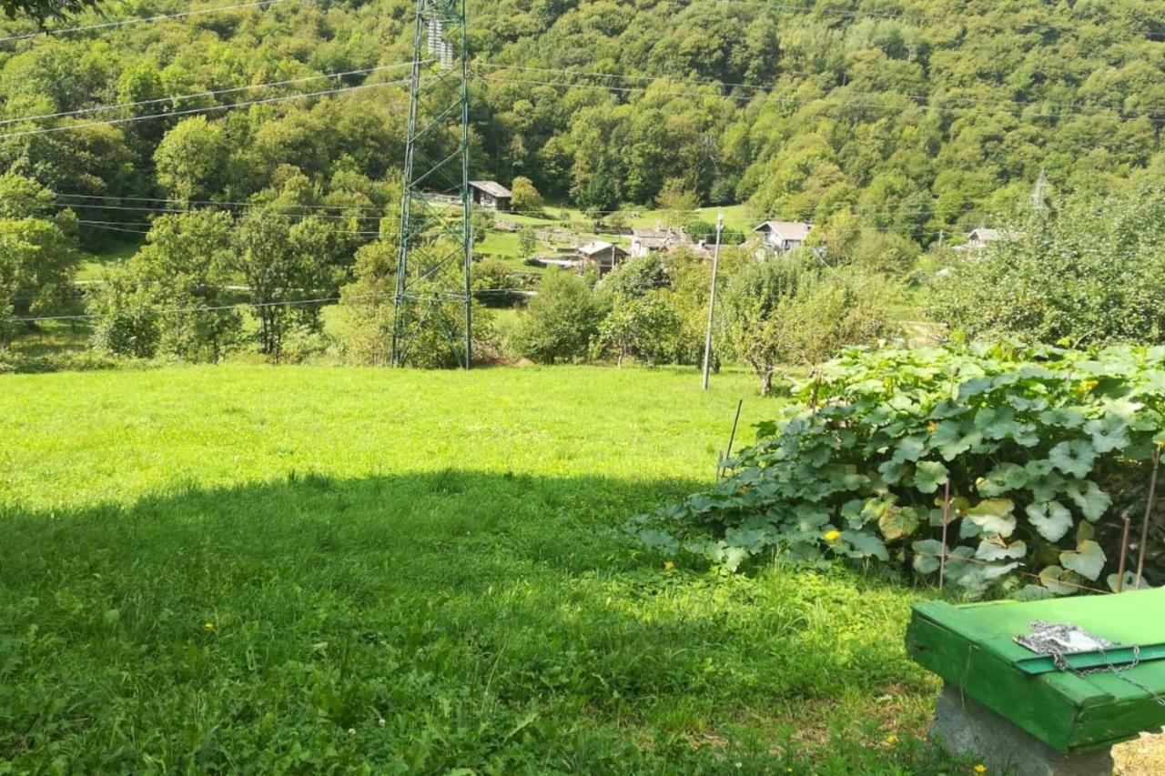 La Casetta nel cuore del Parco Locana Esterno foto